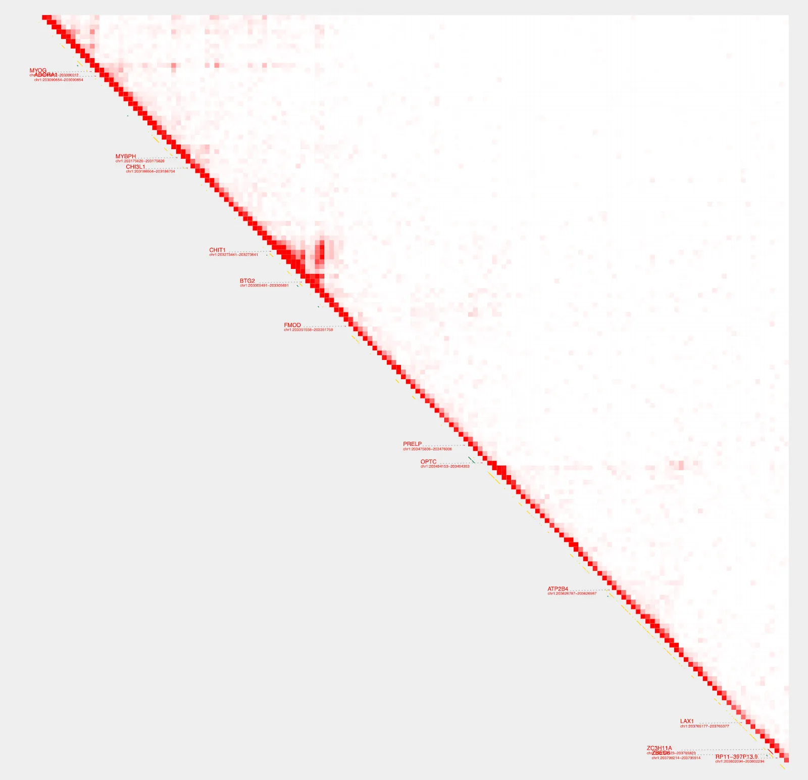 gene_view