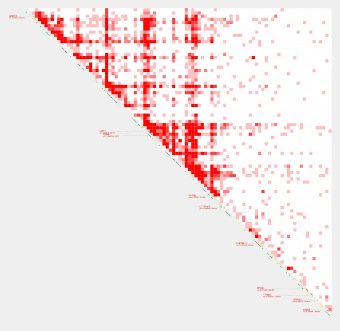 quant_cut