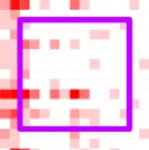 Loop_close-up