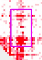 larger_sample_crop